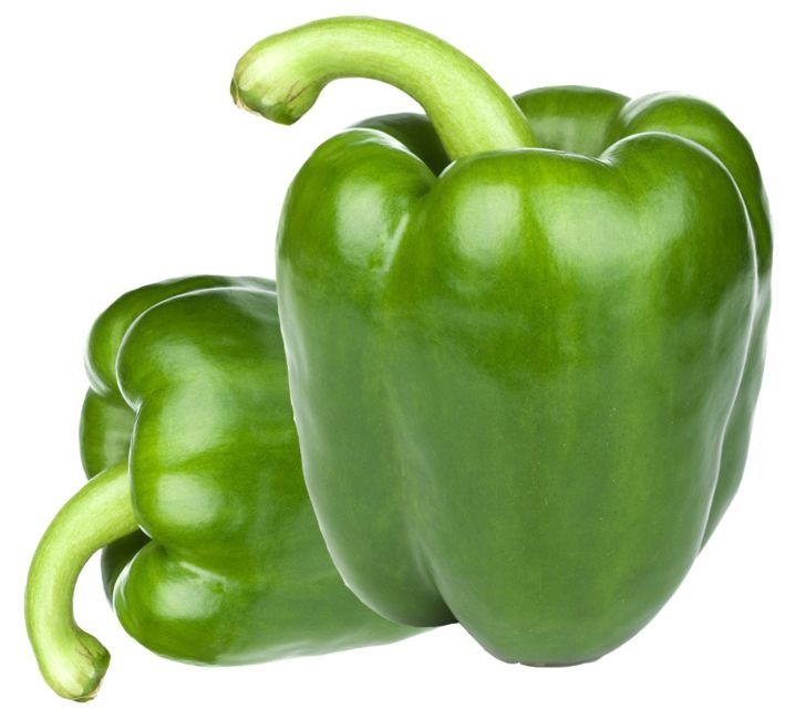 CAPSICUM – VINTAGE F1 HYBRID