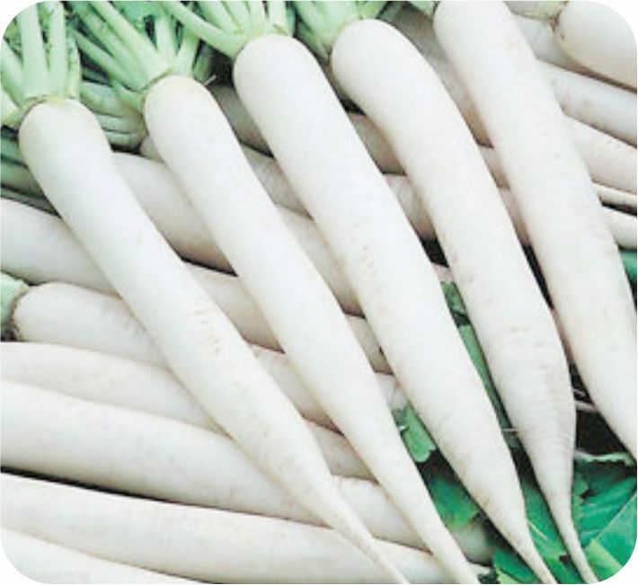 RADISH - IW F1 HYBRID