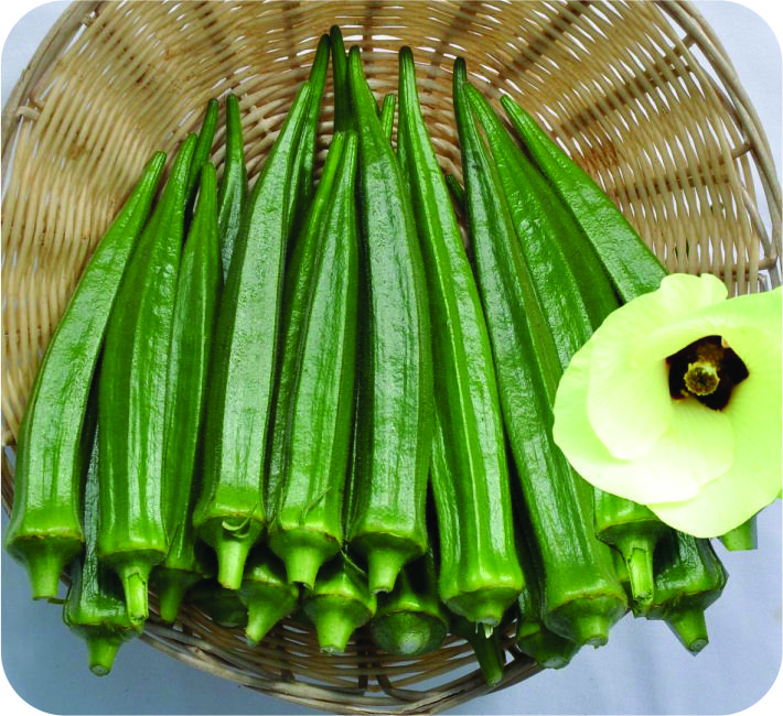 BHENDI – SAMPURNA F1 HYBRID