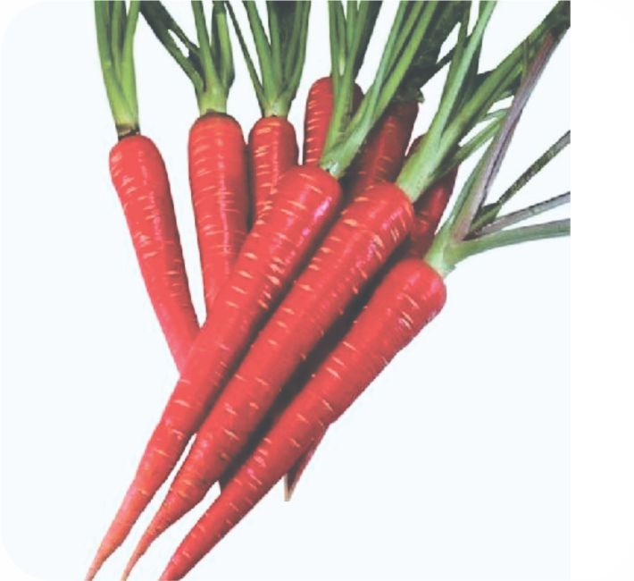 CARROT – DESI