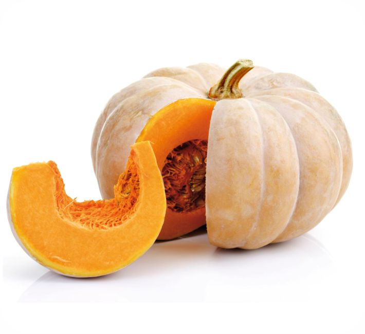 PUMPKIN – RAJA F1 HYBRID