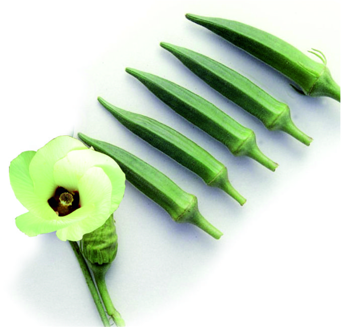 BHENDI - 2137 F1 HYBRID