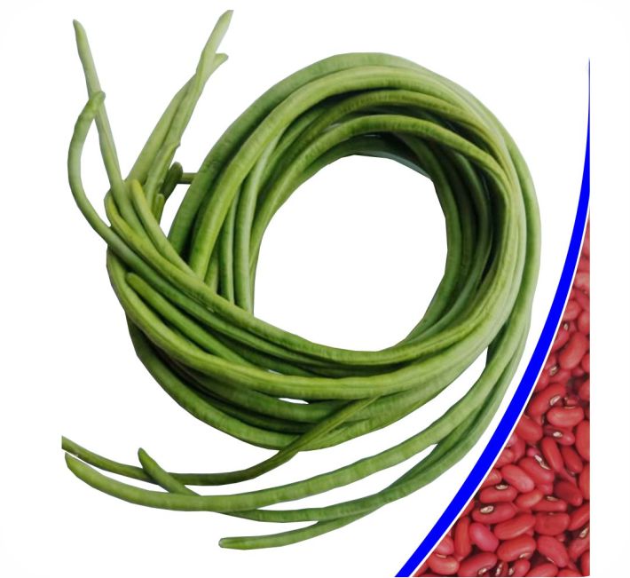 YARD LONG BEAN - PUMMY