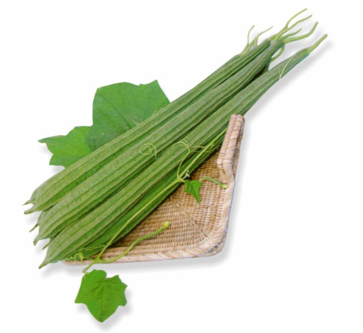 RIDGE GOURD – MANDIRA F1 HYBRID