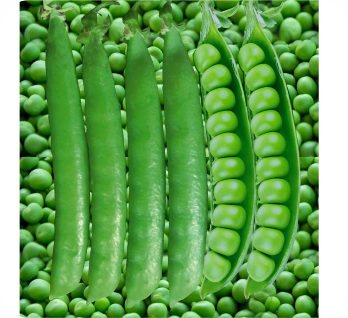 PEAS – ABHINANDHAN