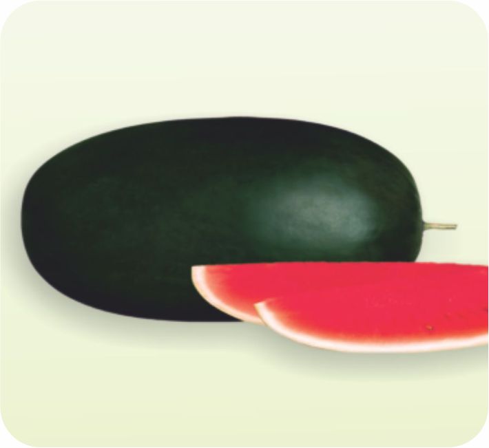 WATER MELON – SAMSUNG  F1 HYBRID