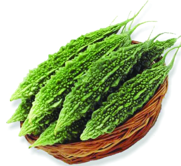 BITTER GOURD - POOVI F1 HYBRID