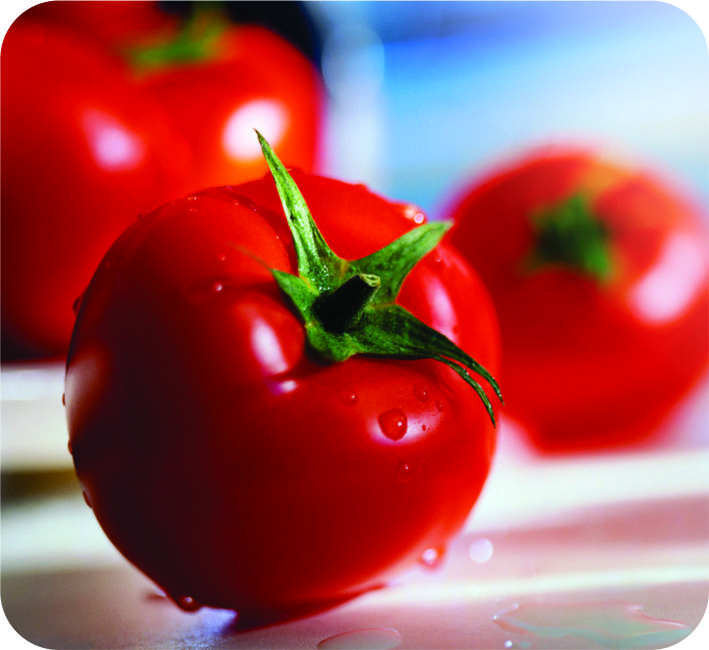 TOMATO - RED STONE F1 HYBRID