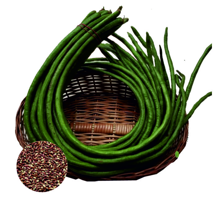 YARD LONG BEAN - MANISH