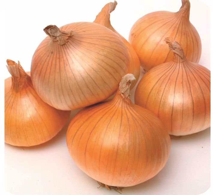 ONION - LIGHT RED