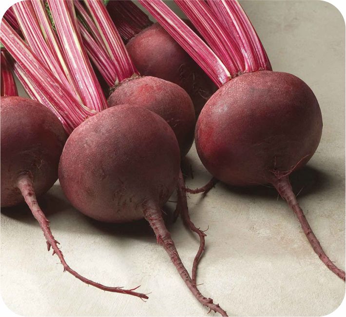 BEET ROOT – SUPER FAST  F1 HYBRID