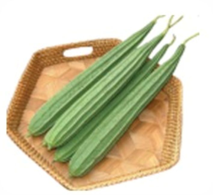 RIDGE GOURD – RICKY F1 HYBRID