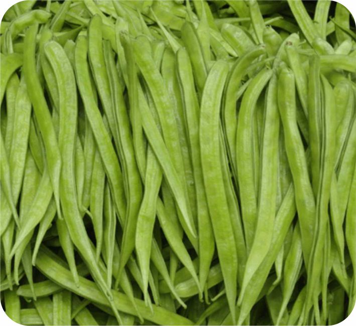 CLUSTER BEAN - PNB