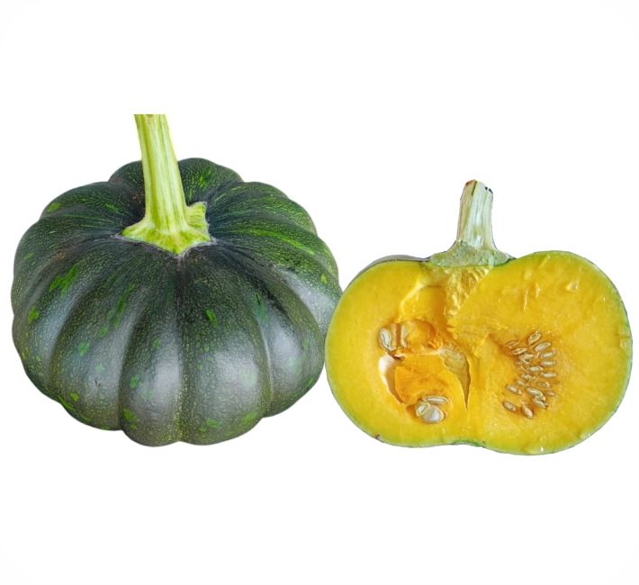 PUMPKIN – CHHOTA BHEEM F1 HYBRID