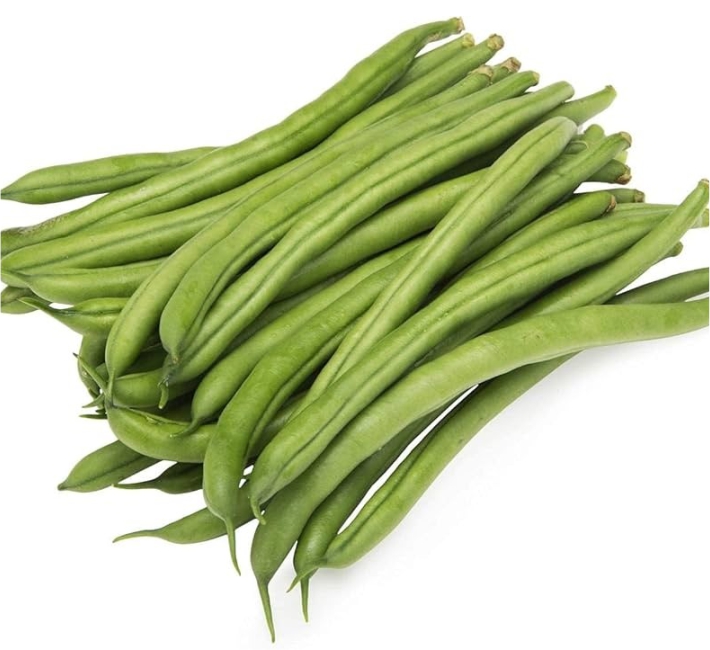 BUSH BEAN - S-9