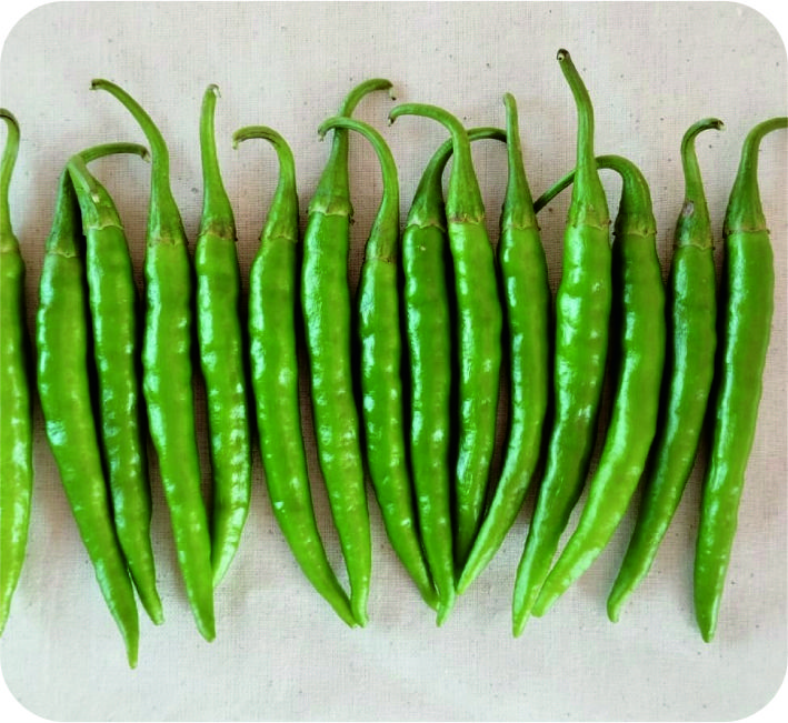 CHILLI – AS-414 F1 HYBRID