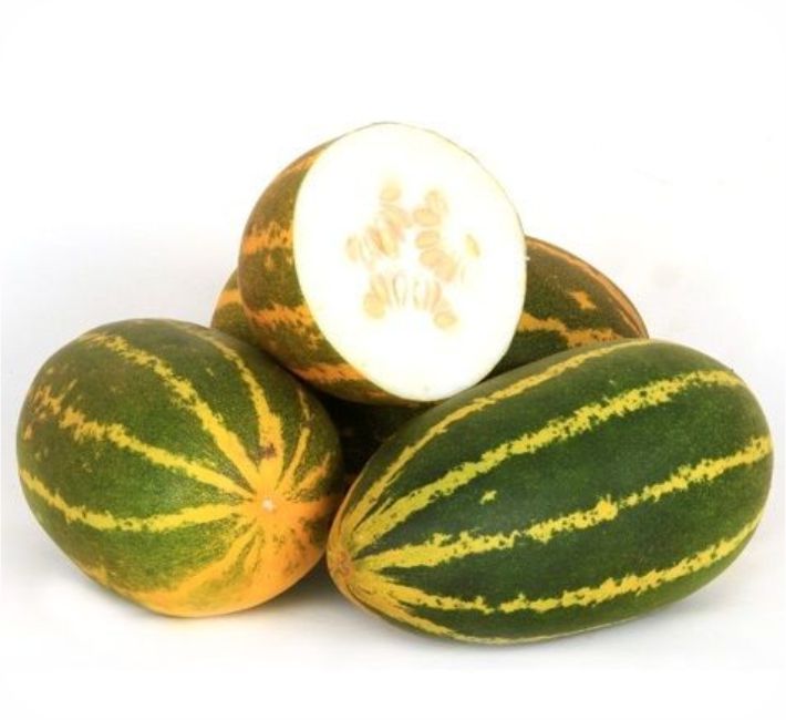 SAMBAR CUCUMBER - AS-801 F1 HYBRID