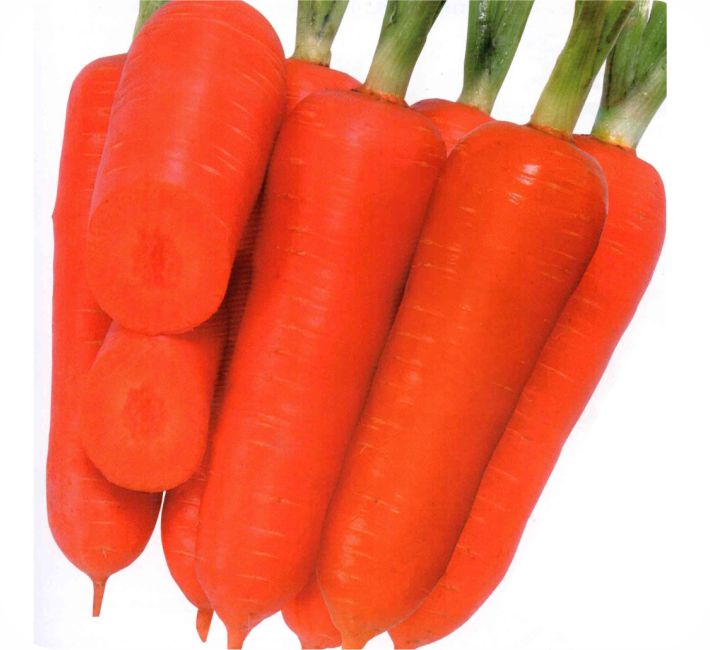 CARROT – TOKIO F1 HYBRID
