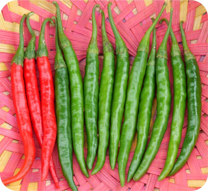 CHILLI – AS - 405 F1 HYBRID