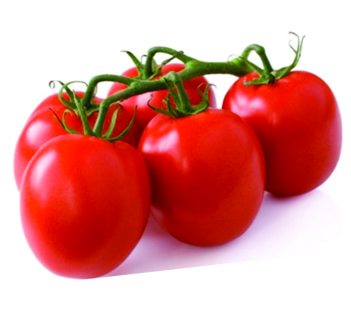 TOMATO - PRIYA F1 HYBRID