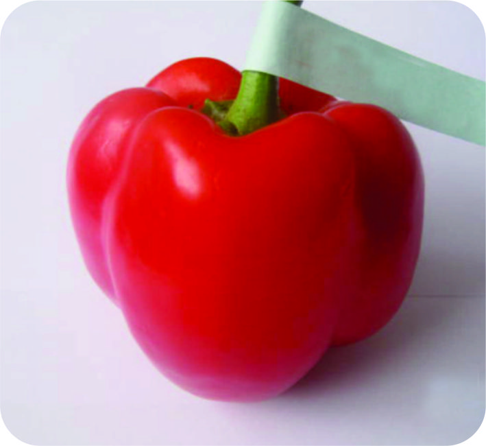 CAPSICUM – RED SWEETY FH1Y HBYRBIDRID